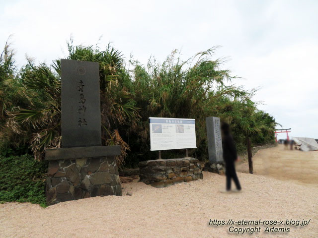 20.11.1.2 青島 (27)