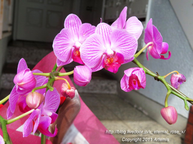 21.3.9.2 アンドＡＣＴ  (4)