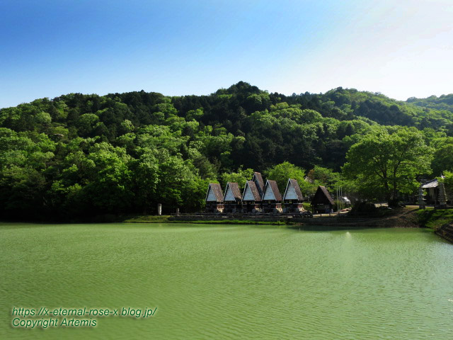 17.5.1.9 太陽公園  石のエリア (98)
