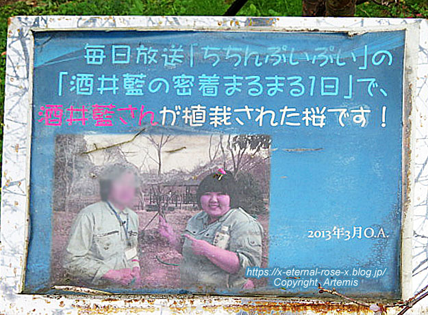 19.11.241 京都府立植物園 (74)