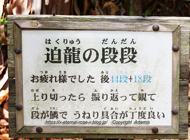 22.3.5.2 石上布都魂神社 (68)