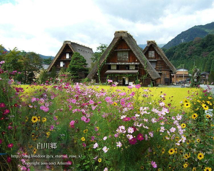 5 白川郷 (14)