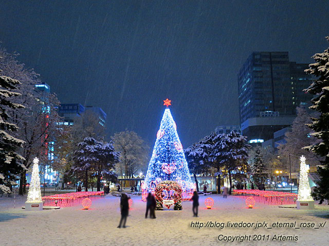 18.11.22.23 札幌大通公園 (4)