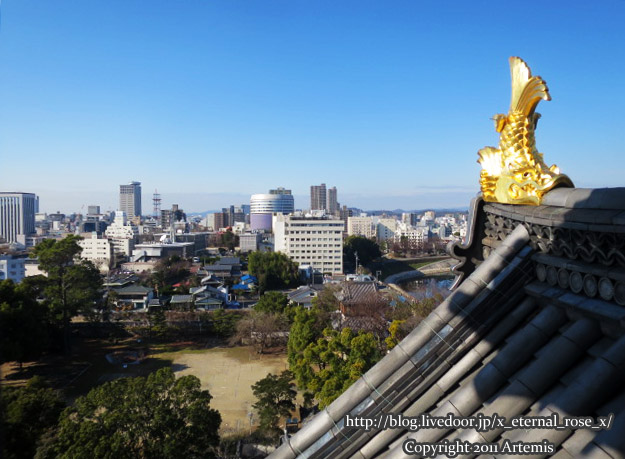 19.1.1.2 岡山城  (19)