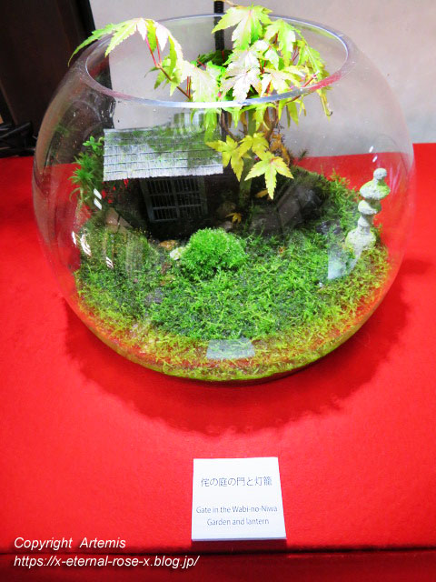 19.11.23.3 桂春院 (43)