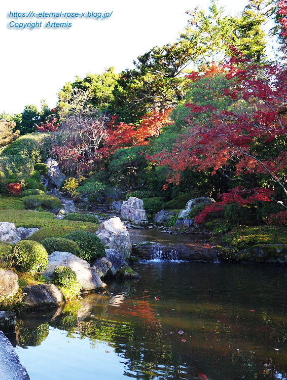 19.11.23.7 妙心寺 退蔵院  (126)