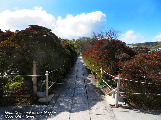 23.3.2.4 長岡天満宮 (19)