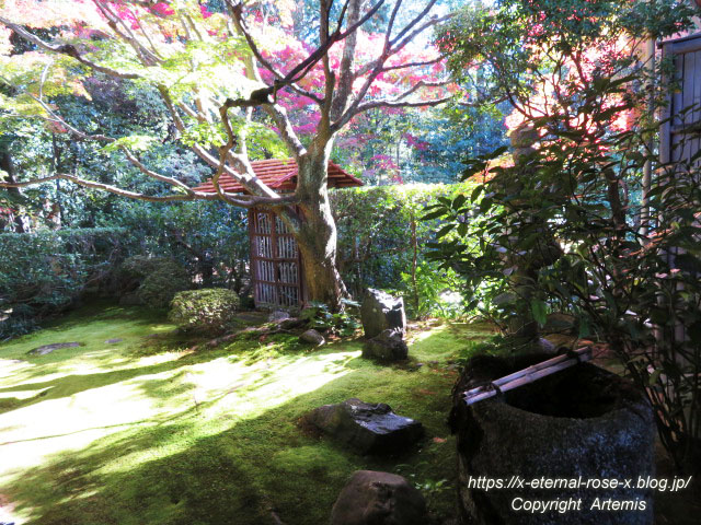 19.11.23.3 桂春院  (14)