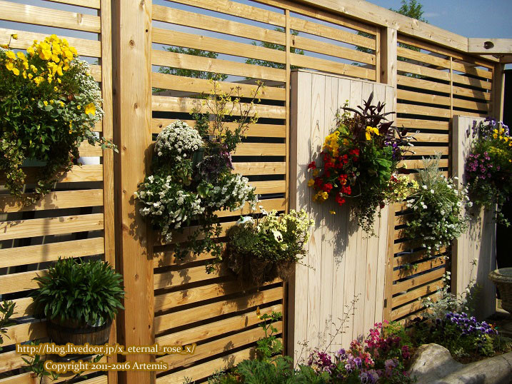 27 おかやま花だより  (40)