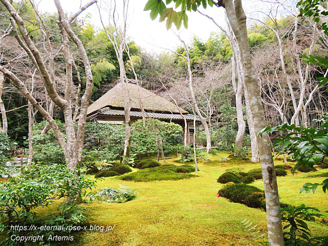 20.3.19.9 祇王寺  (19)