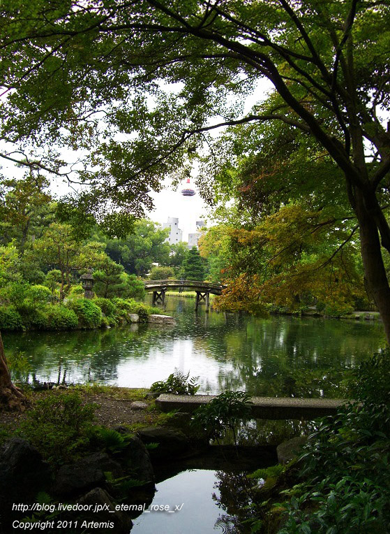 10.10.21 渉成園  (70)
