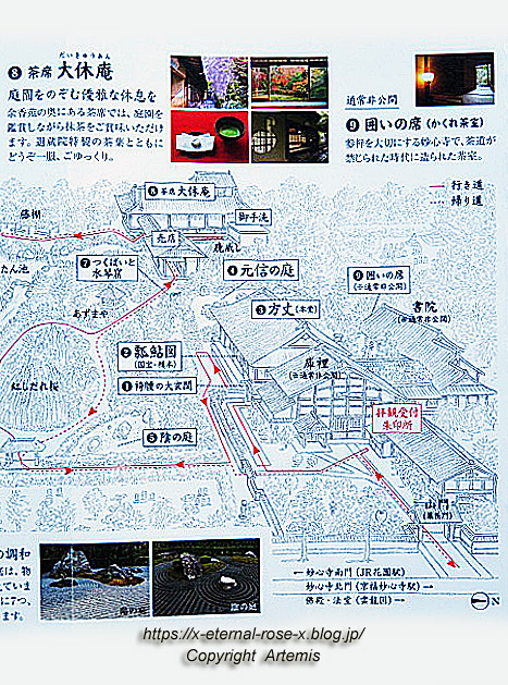 19.11.23.7 妙心寺 退蔵院  (35)