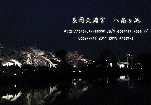 1 長岡天満宮 (7)