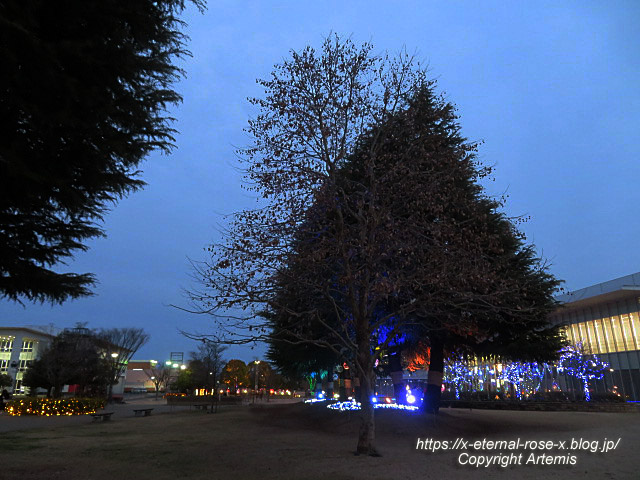 23.2.12.5 西大寺緑花公園  (7)