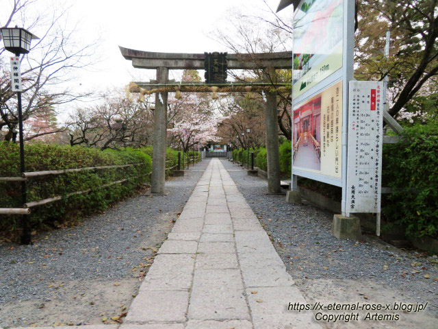 22.3.30.6 長岡天満宮  (19)