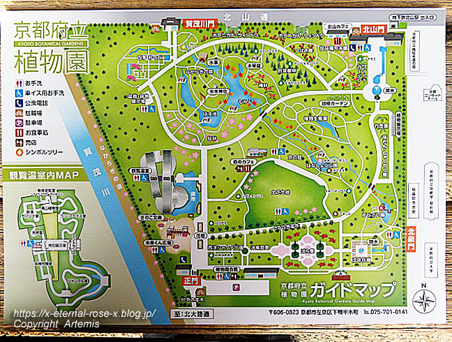 19.11.241 京都府立植物園 (1)