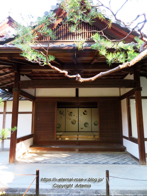 19.11.23.4 大雄院 (55)