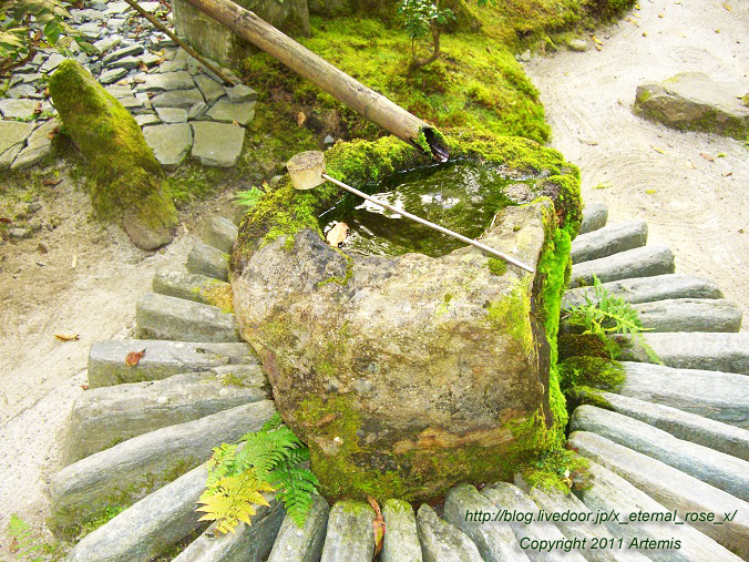 10.10.18.5 宝泉院  (23)