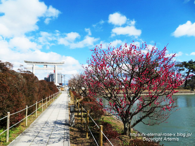 23.3.2.4 長岡天満宮 (14)