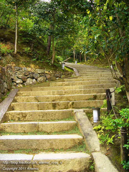 10.10.20.9 高台寺  (32)