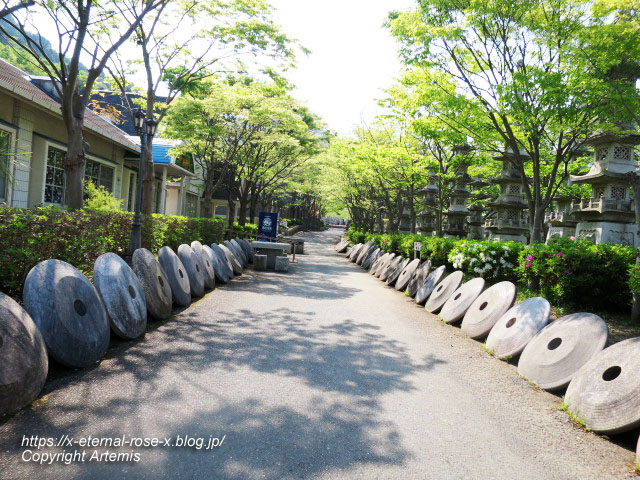 17.5.1.9 太陽公園 石のエリア (62)