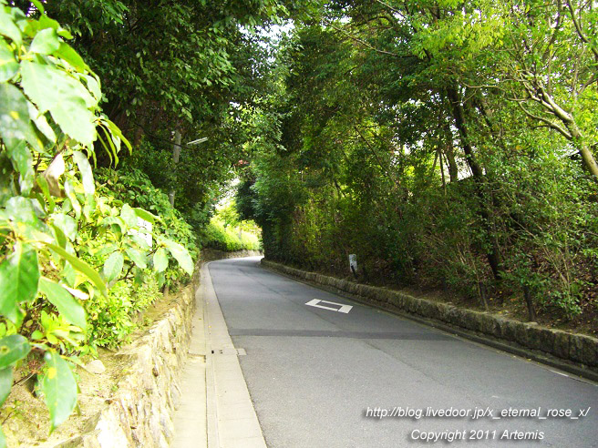 10.10.21.3 泉涌寺 (5)