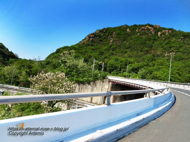22.5.3.7 ループ橋 (5)