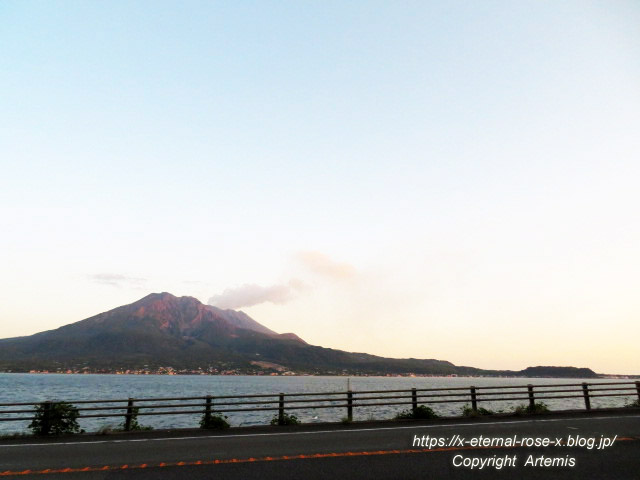 20.10.31.16 桜島  (4)