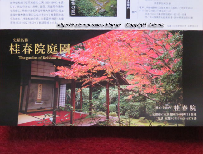 19.11.23.3 桂春院  (31)