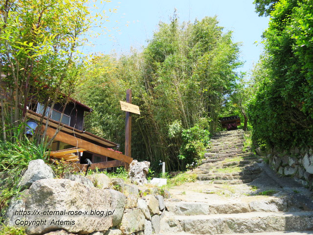 18.5.5.1 てれやカフェ  (6)