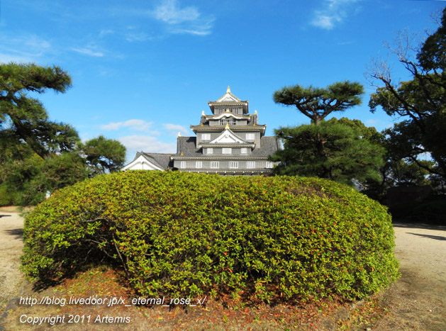 20.1.1.1 岡山城  (27)