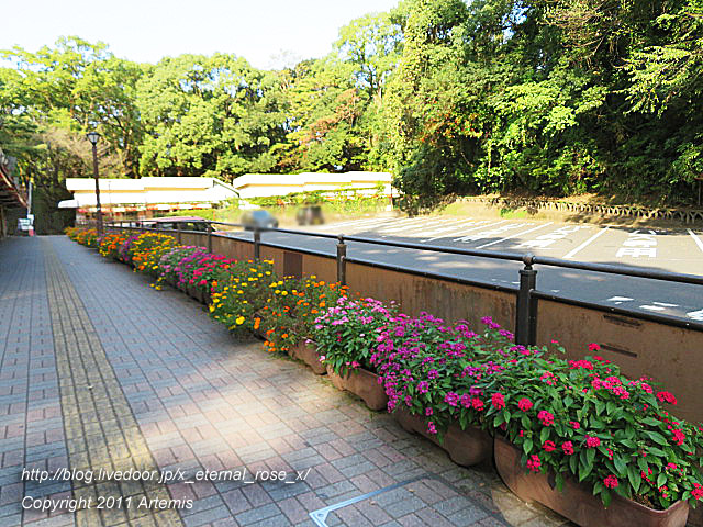 20.10.31.8 城山公園展望台  (1)