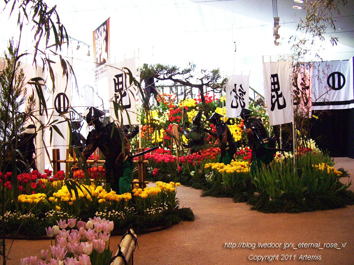 10.4.18 チューリップ四季彩館  (20)