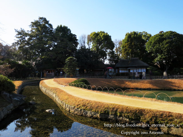 19.1.1.1 後楽園  (39)