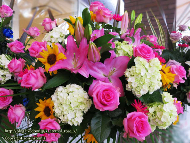 16.4.29.1 ドットカフェ  (13)