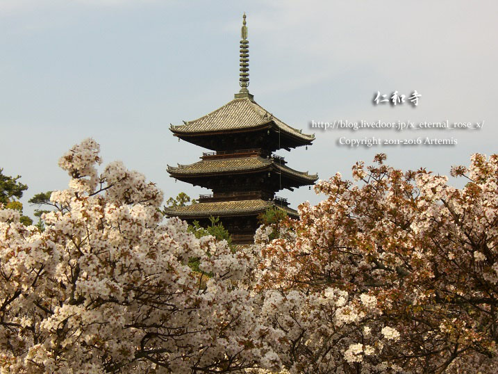 8 仁和寺 (25)