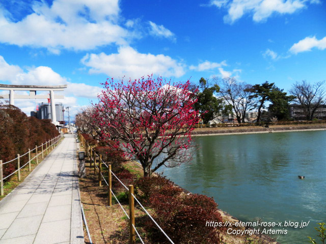 23.3.2.4 長岡天満宮 (11)
