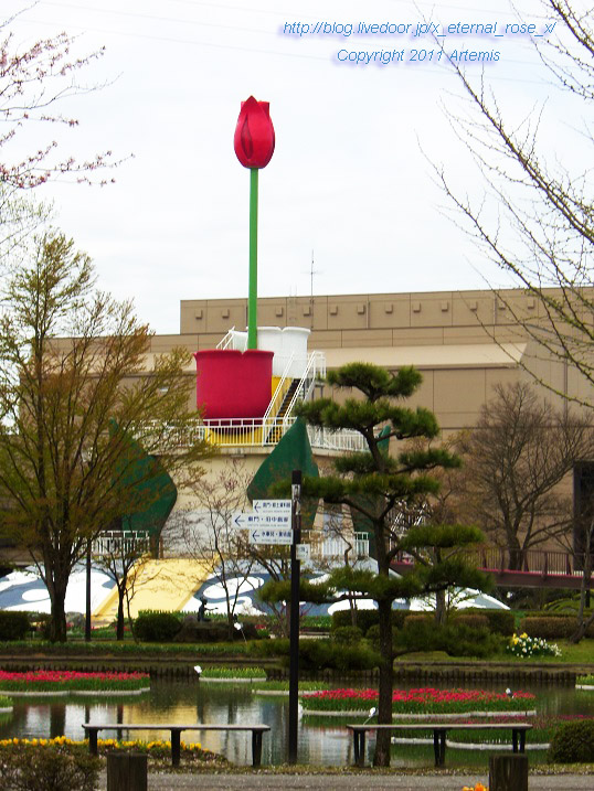 10.4.21 チューリップ四季彩館 (36)