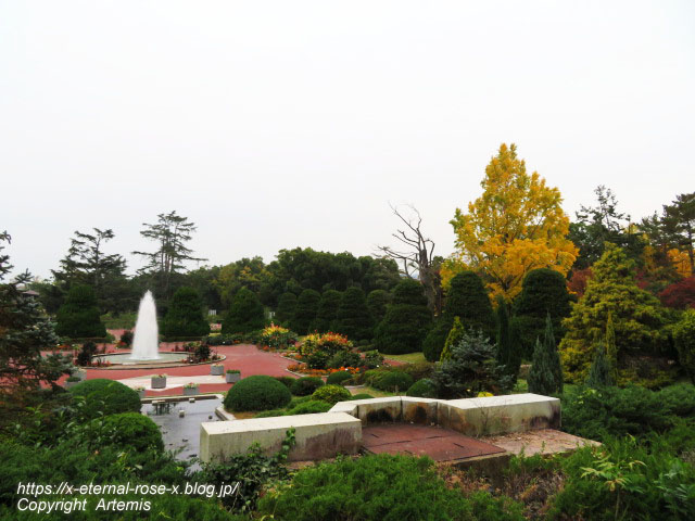 19.11.241 京都府立植物園 (164)