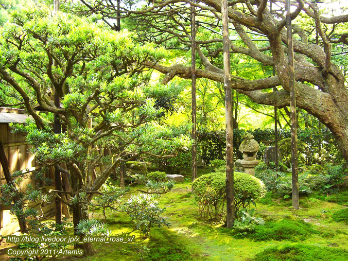 10.10.18.5 宝泉院  (6)