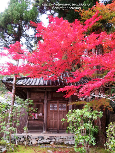 19.11.27 高雄 神護寺  (142)