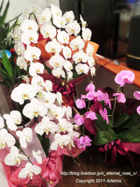 21.3.9.2 アンドＡＣＴ  (21)