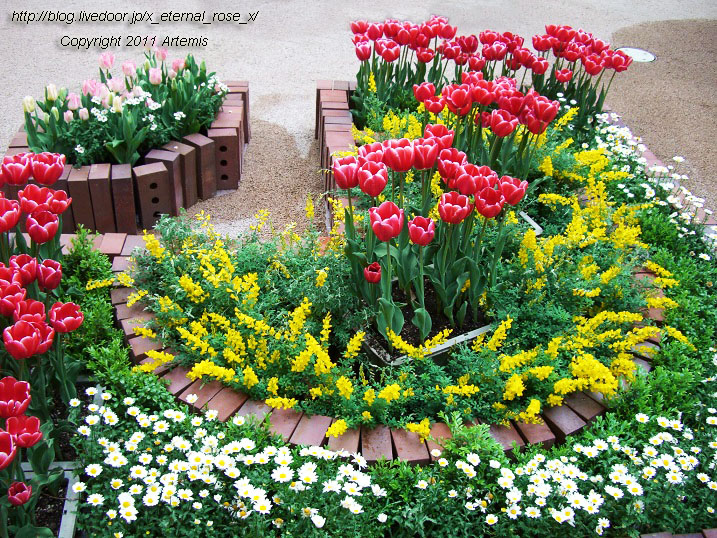 10.4.18 チューリップ四季彩館  (27)