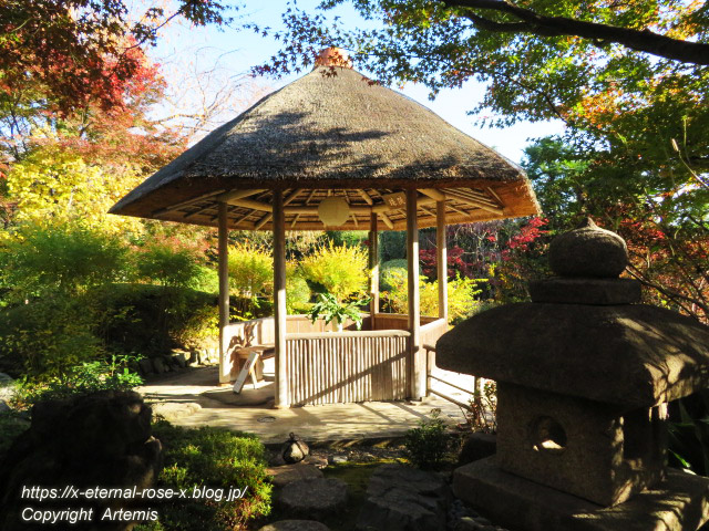 19.11.23.7 妙心寺 退蔵院  (56)