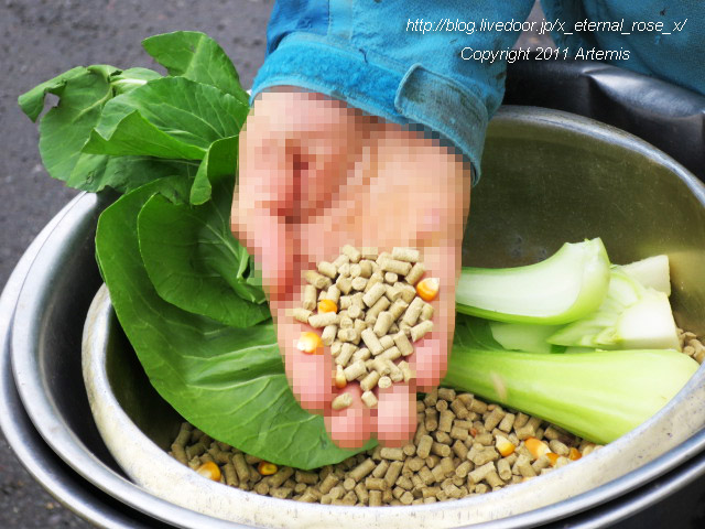 18.11.22.8 丹頂  (15)