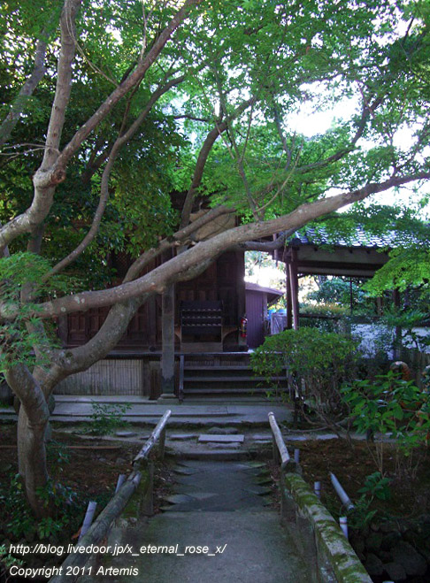 10.10.17.5 新薬師寺 (12)