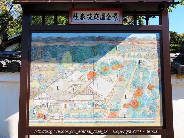 19.11.23.3 桂春院 (5)