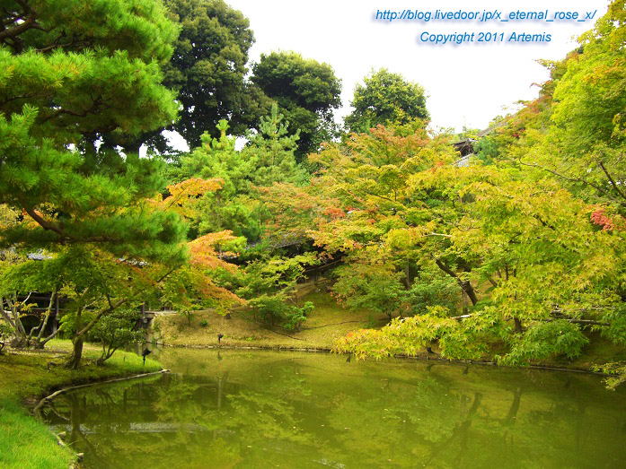 10.10.20.9 高台寺  (28)