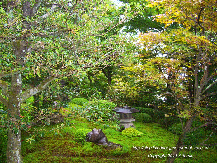 10.10.24.4 鈴虫寺 (17)