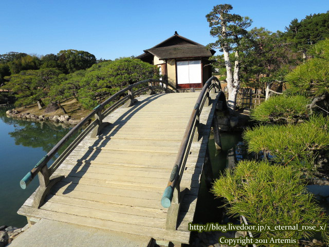 19.1.1.1 後楽園  (30)